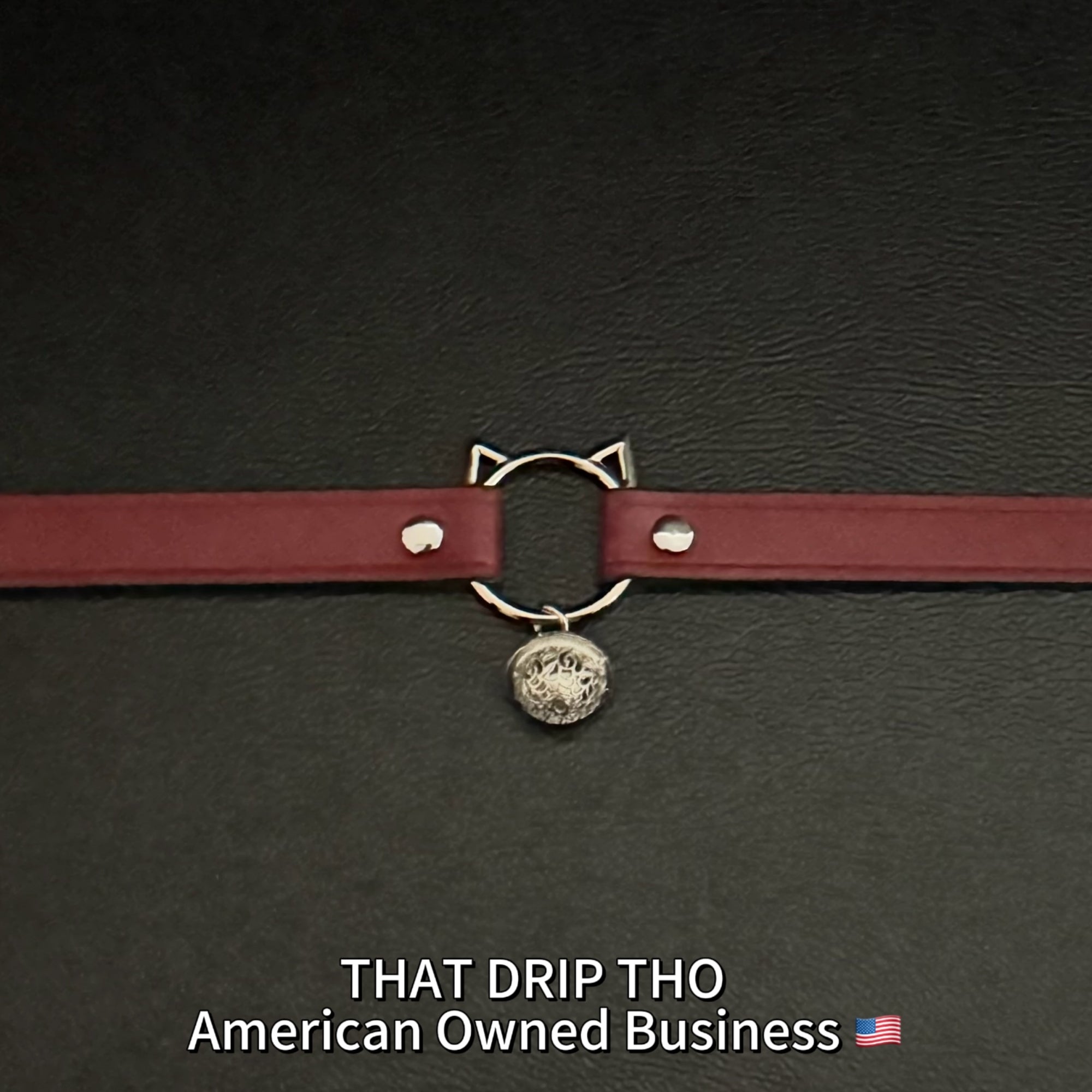 Luxe The Pleased " Silver " Kitten Collar