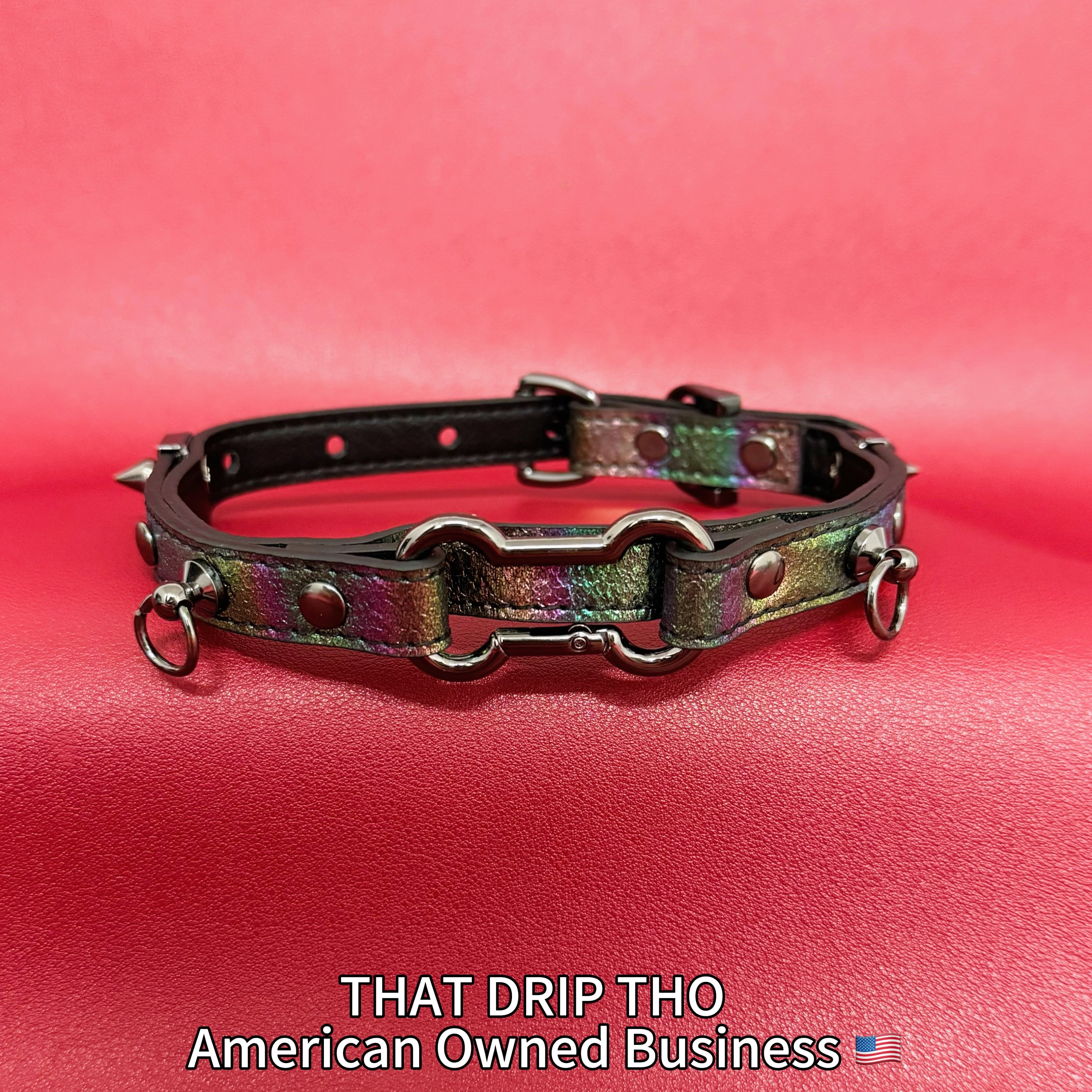 Iridescent Leather Choker with Dog Bone Ring