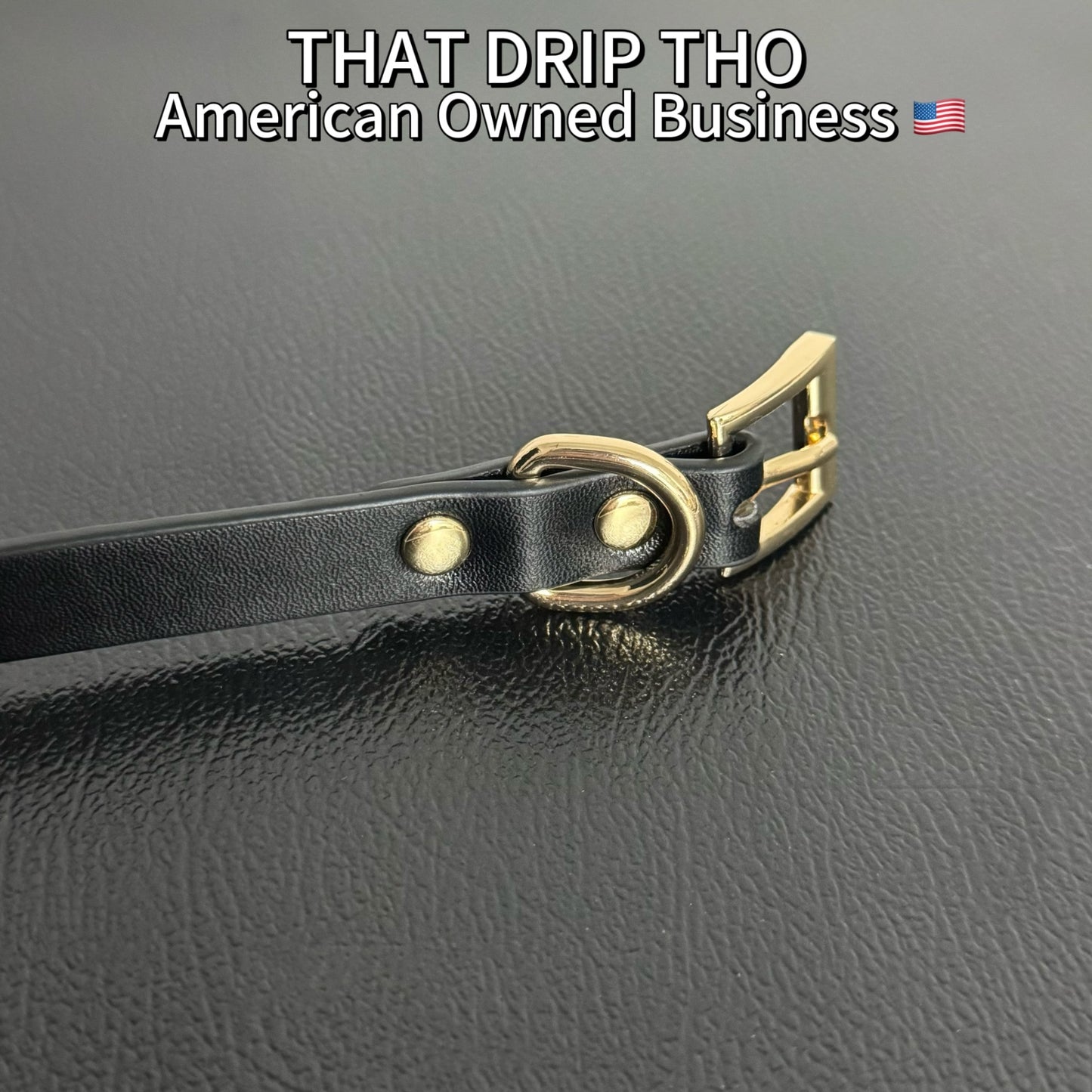 Luxe Chain ( [First Crush] Black Leather with Gold Color Metal Choker Necklace) with Leather Chain Leash